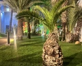 Riu Tikida Dunas