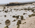 El Malikia Resort Abu Dabbab