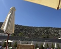 Cactus Beach