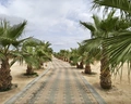 Hilton Marsa Alam Nubian Resort