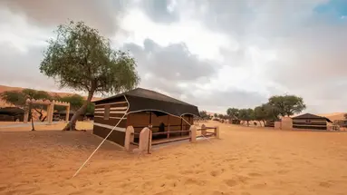 1000 Nights Camp