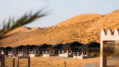 1000 Nights Camp