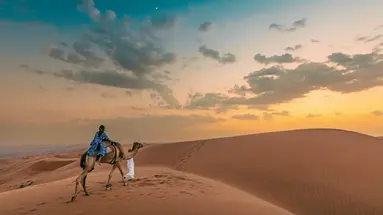1000 Nights Camp