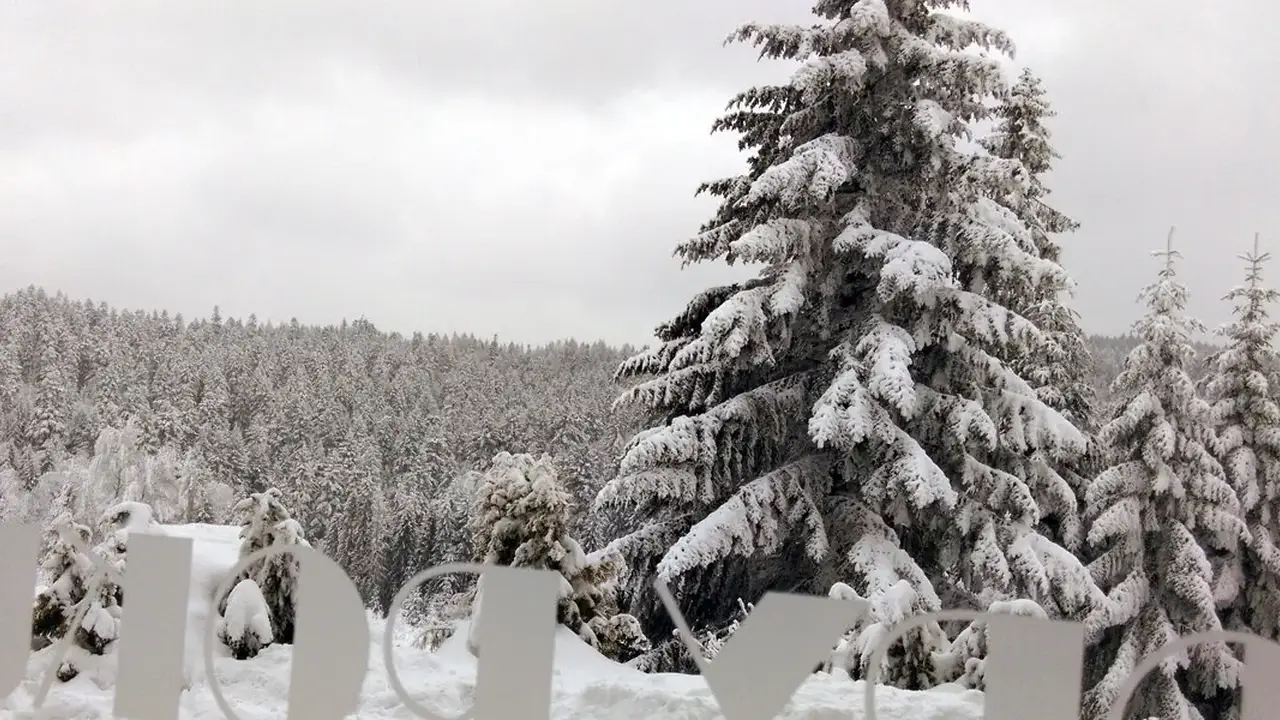 4 Pory Roku (Krynica Zdrój)