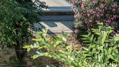 ABA Athens Boutique Apartments