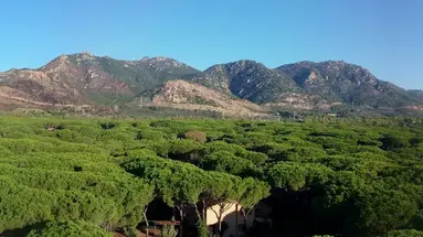 Abamar