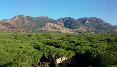 Abamar