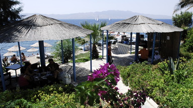 Acacia Club