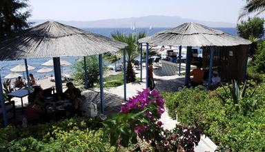 Acacia Club
