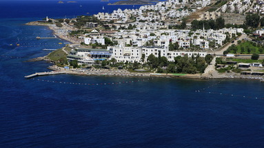 Acacia Club
