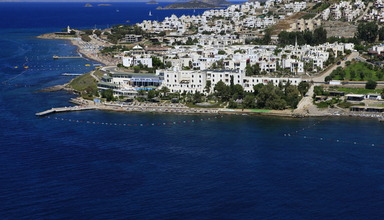 Acacia Club