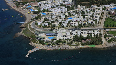 Acacia Club
