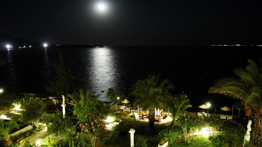 Acacia Club