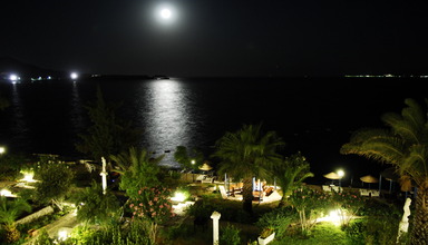 Acacia Club