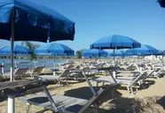 Acacia Marina