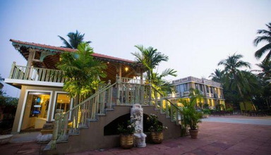 Acacia Palms