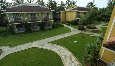 Acacia Palms