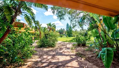 Acacia Resort
