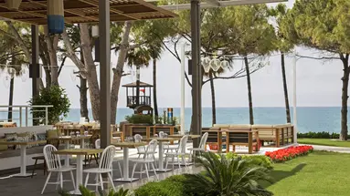Acanthus & Cennet Barut Collection