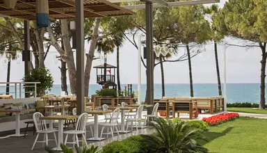 Acanthus & Cennet Barut Collection