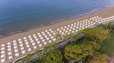 Acanthus & Cennet Barut Collection