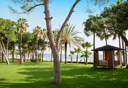 Acanthus & Cennet Barut Collection