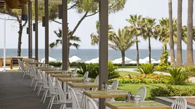 Acanthus & Cennet Barut Collection