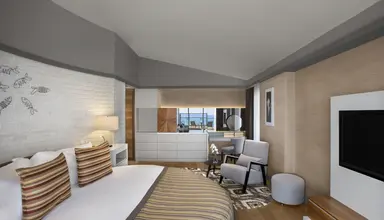 Acanthus & Cennet Barut Collection