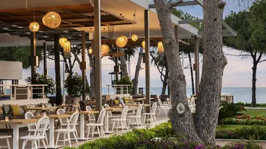 Acanthus & Cennet Barut Collection