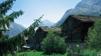 Acimo