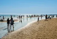 Acquaverde