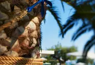 Acrotel Elea Beach