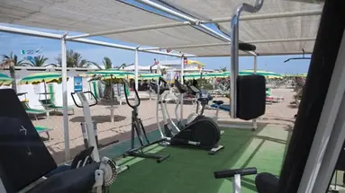 Ada (Rimini)