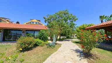 Adaburnu Golmar