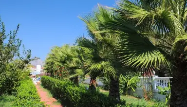 Adalin Resort