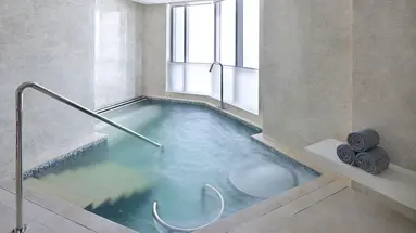 Address Fountain Views