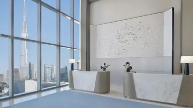 Address Fountain Views