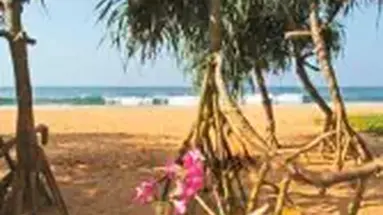 Aditya Resort