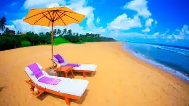 Aditya Resort