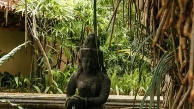 Aditya Resort