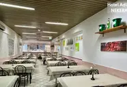 Adler (Rimini)