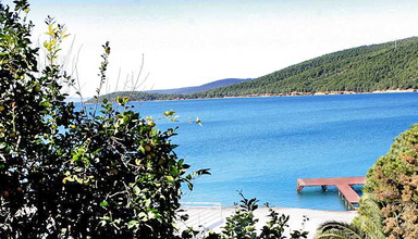 Aegean Garden