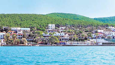 Aegean Garden