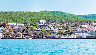 Aegean Garden