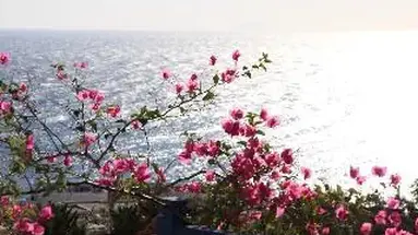 Aegean View (Kamari)