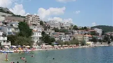 Agava