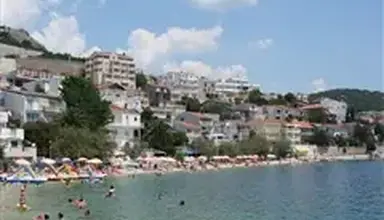 Agava