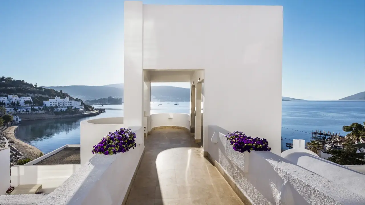 Agaya Bodrum