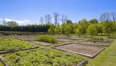 Agroturystyka Kantonia