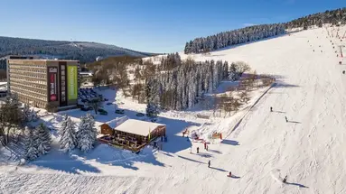 Ahorn Am Fichtelberg